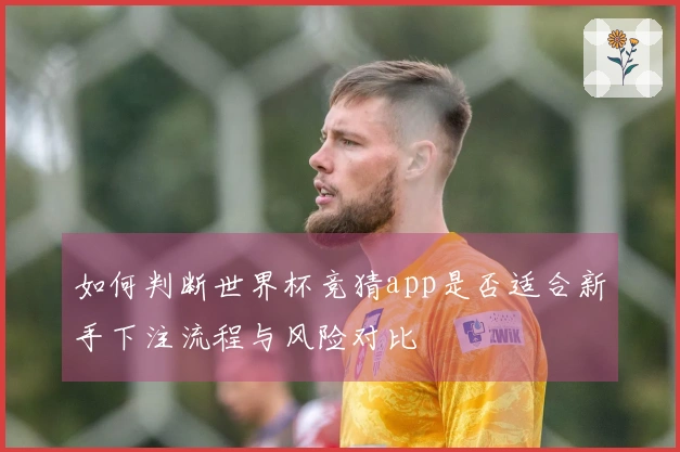 如何判断世界杯竞猜app是否适合新手下注流程与风险对比