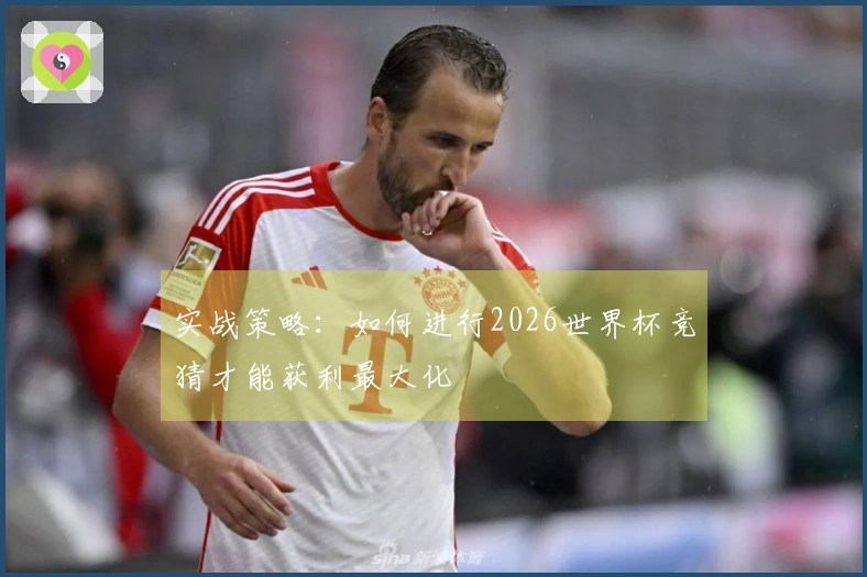 实战策略：如何进行2026世界杯竞猜才能获利最大化