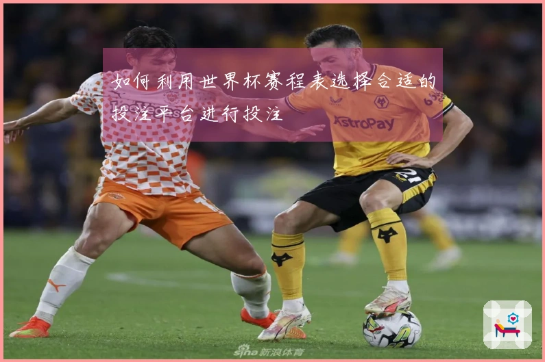 如何利用世界杯赛程表选择合适的投注平台进行投注