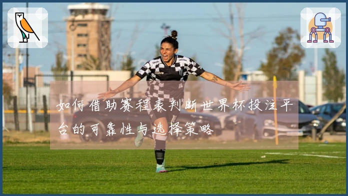 如何借助赛程表判断世界杯投注平台的可靠性与选择策略